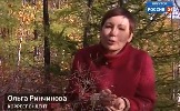 21 Ч 11